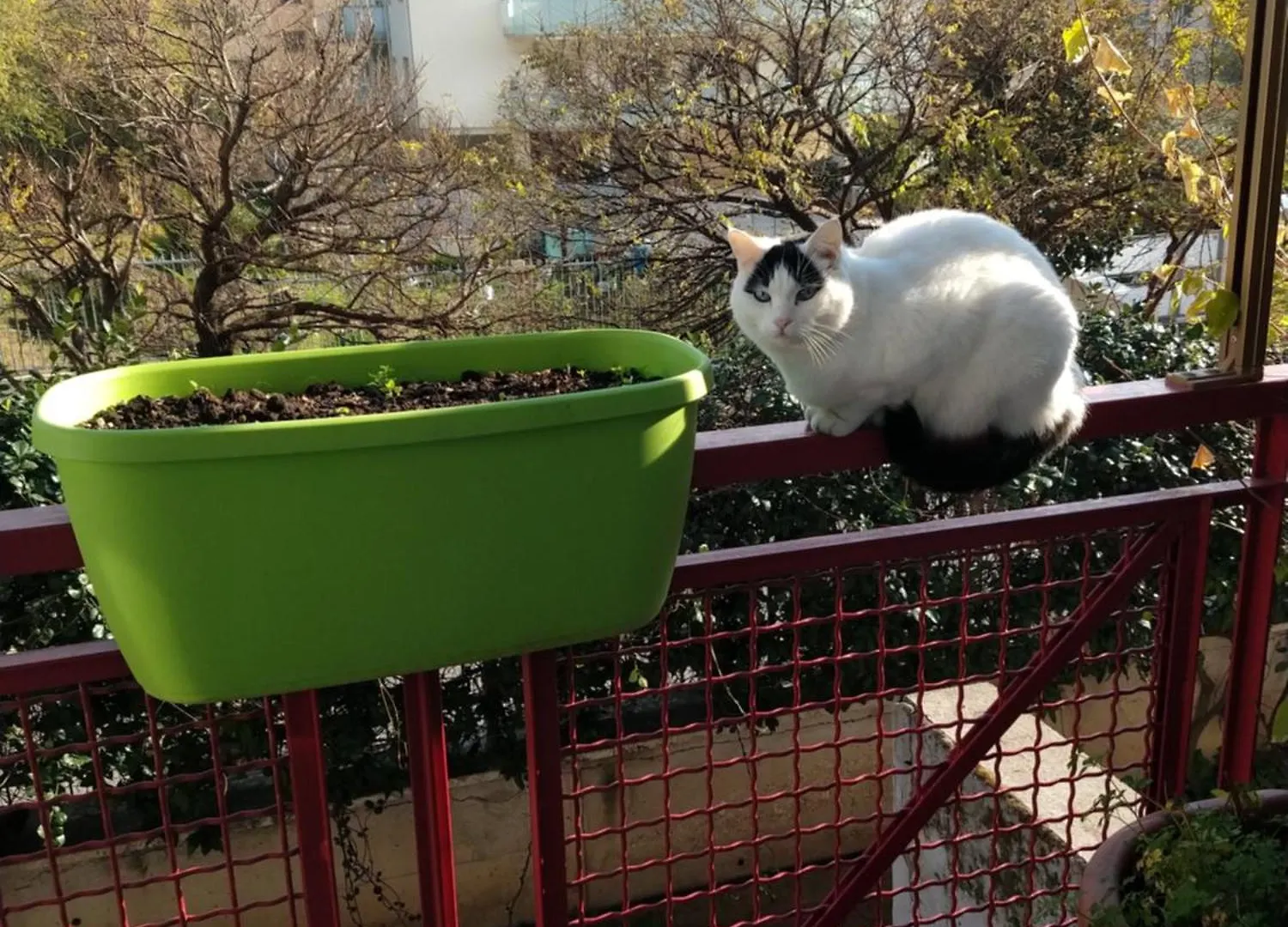Intero Appartamento Con Giardino E Parcheggio Rome Apartment